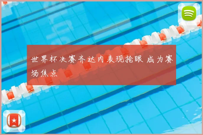 世界杯决赛齐达内表现抢眼 成为赛场焦点