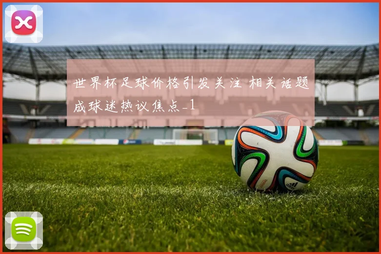 世界杯足球价格引发关注 相关话题成球迷热议焦点_1