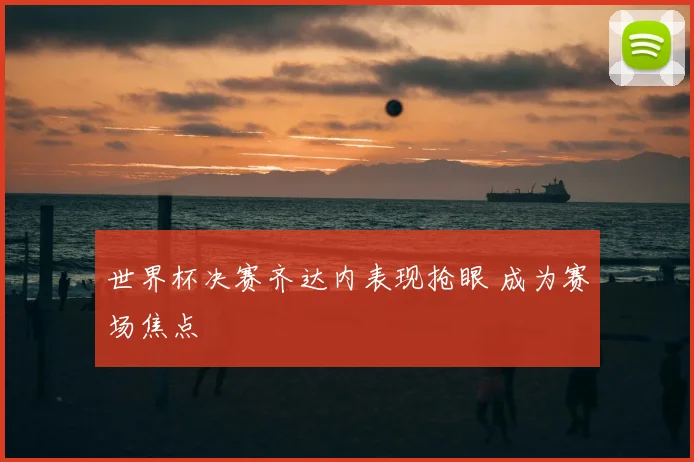 世界杯决赛齐达内表现抢眼 成为赛场焦点