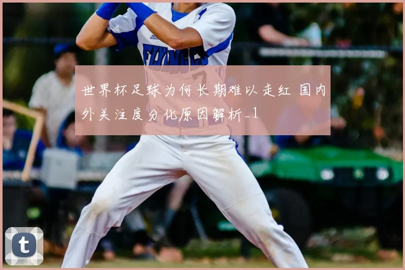 世界杯足球为何长期难以走红 国内外关注度分化原因解析_1